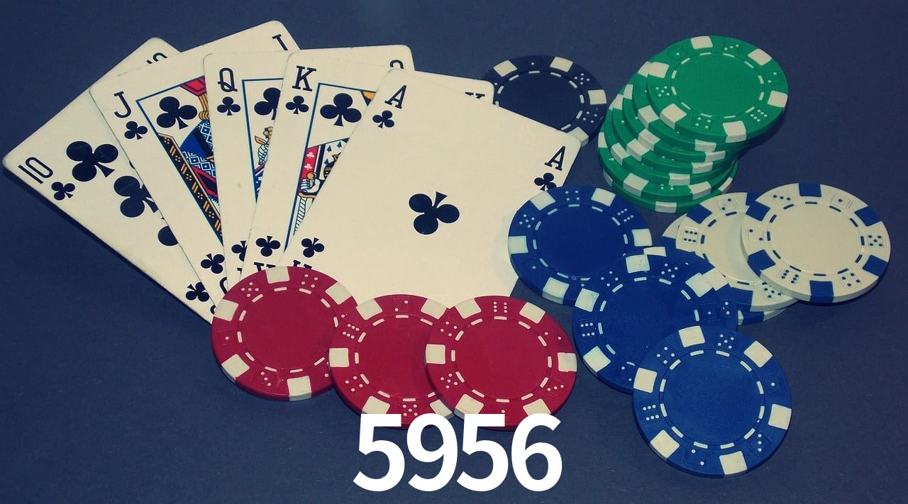 Player Reviews 5956